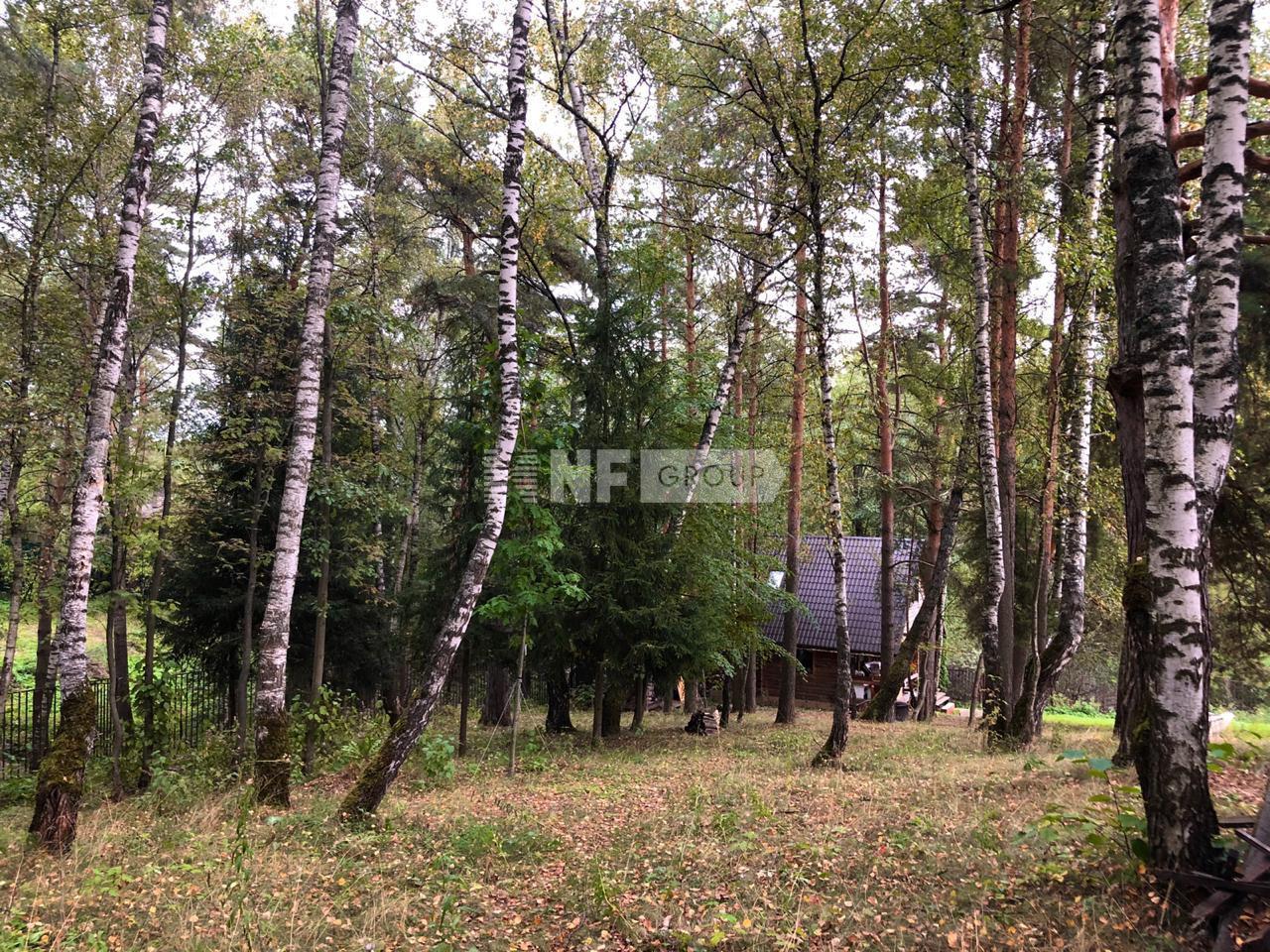 «Березовая роща» (Berezovaya roshcha)