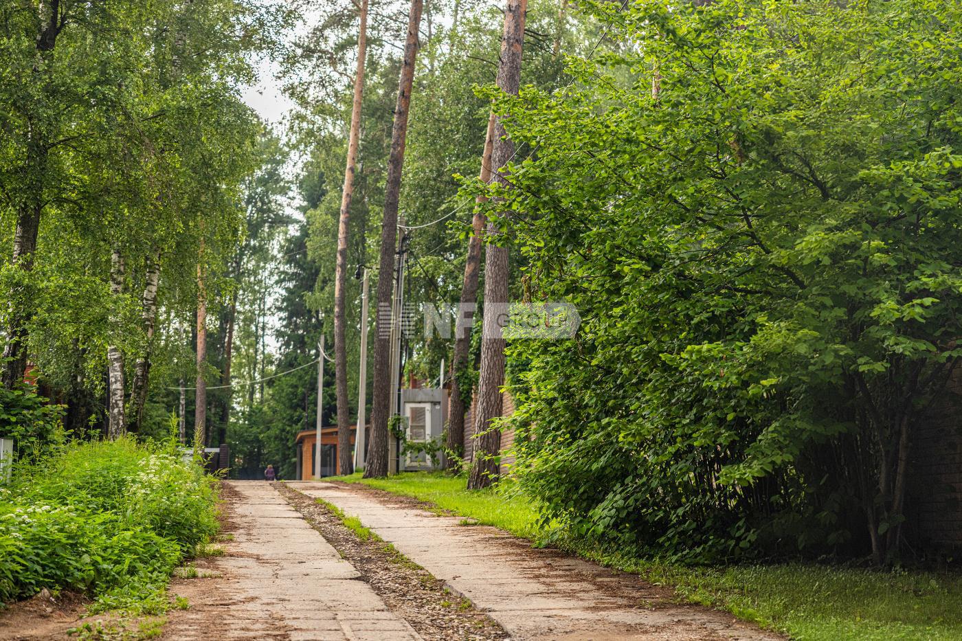 «Солослово » (Soloslovo )