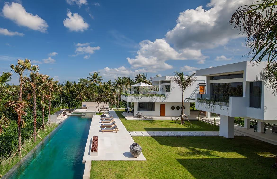 Tropical sanctuary with amazing rice field view in Tumbak Bayuh