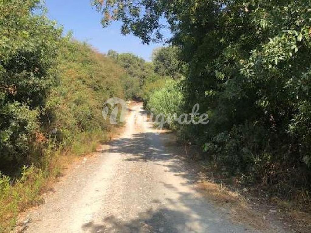 Cyprus, Paphos, Kissonerga