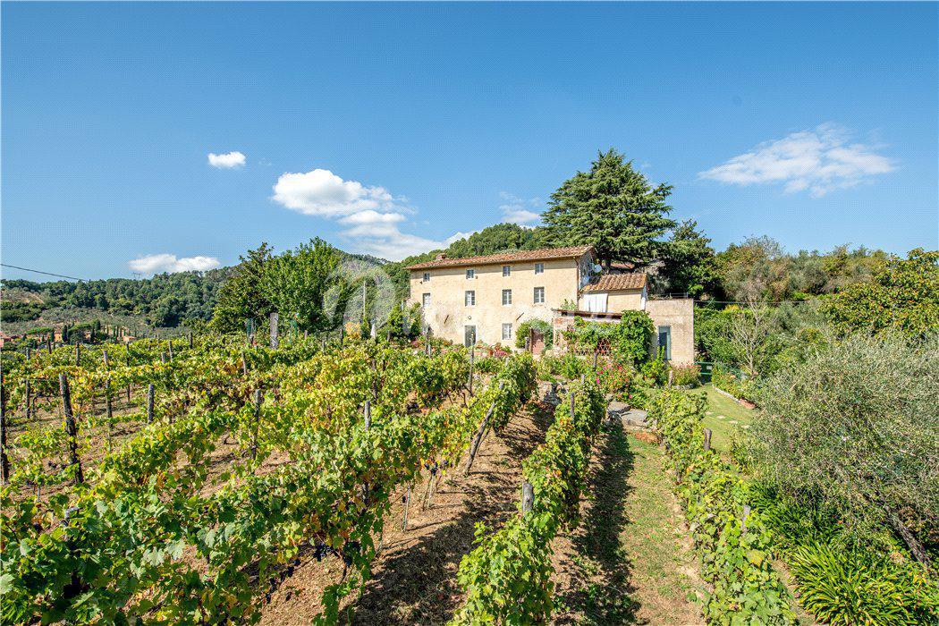 Вилла с винодельней в Лукке