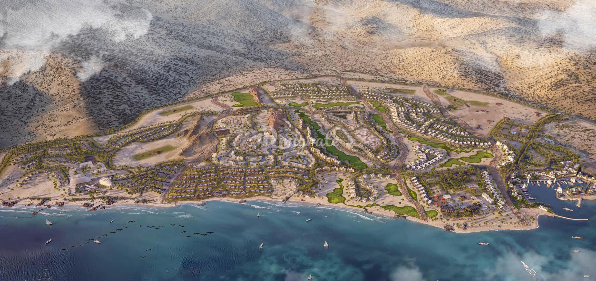 Olive Farms Raya Jebel Sifah