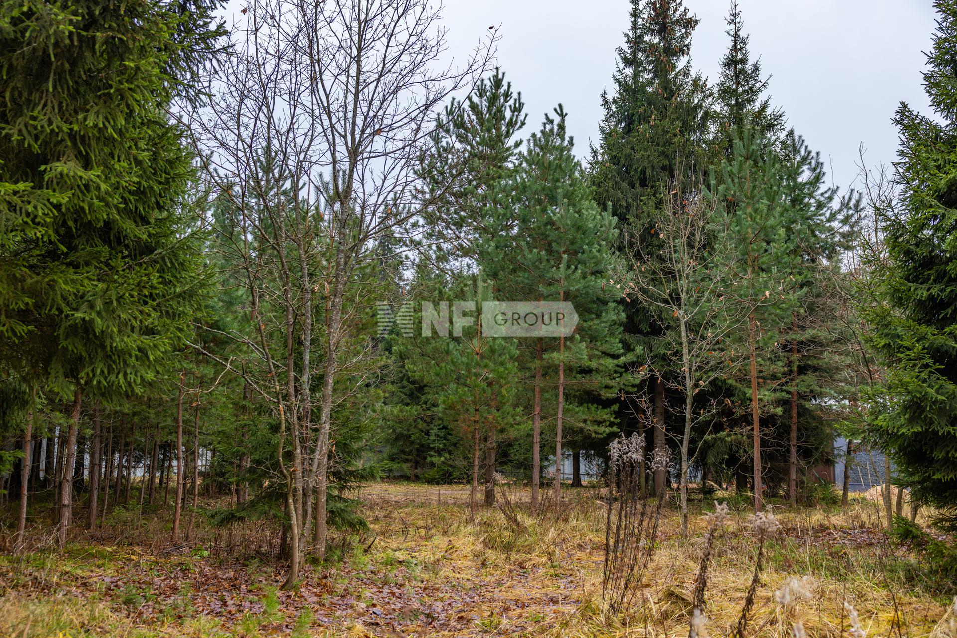 NF Group