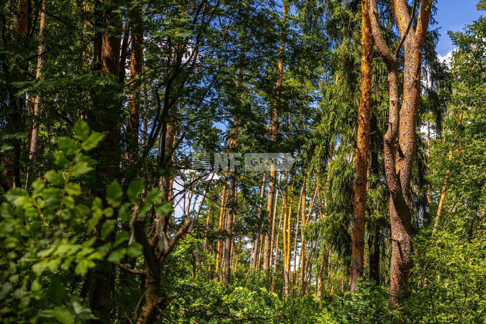 «Павлово Парк» (Павлово Парк)