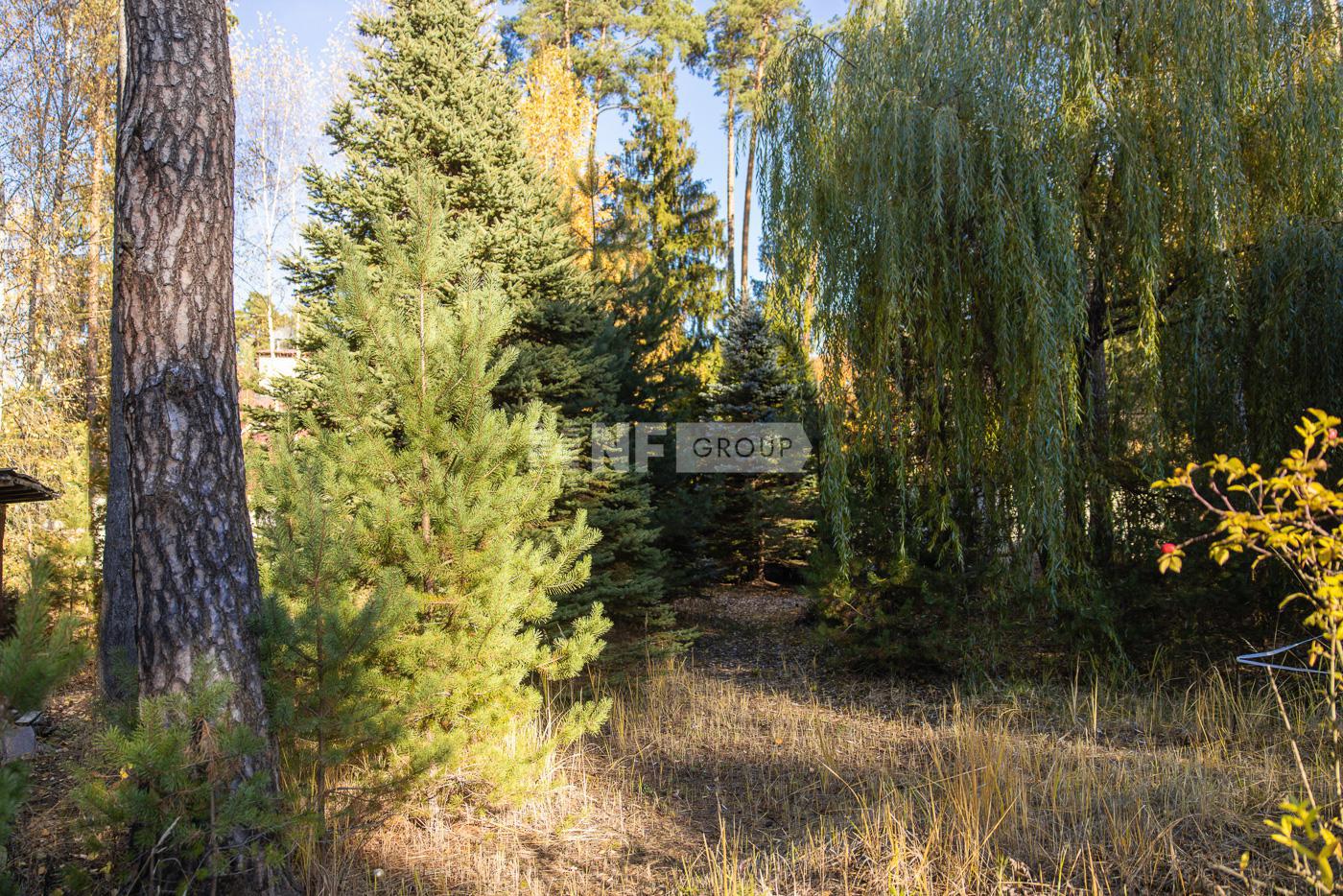 «Коттон Вэй» (Сotton Way)