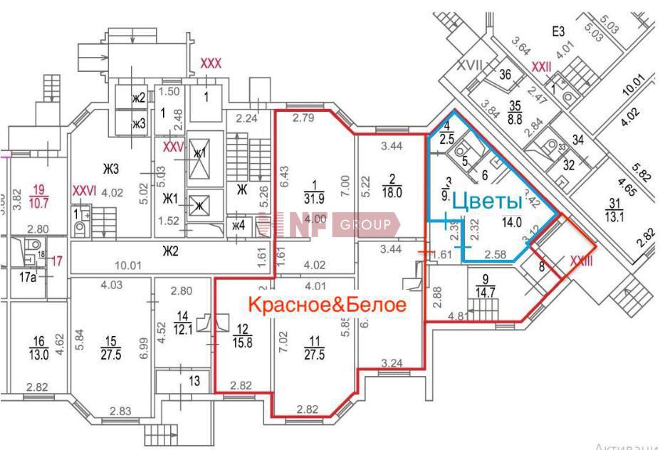 NF Group