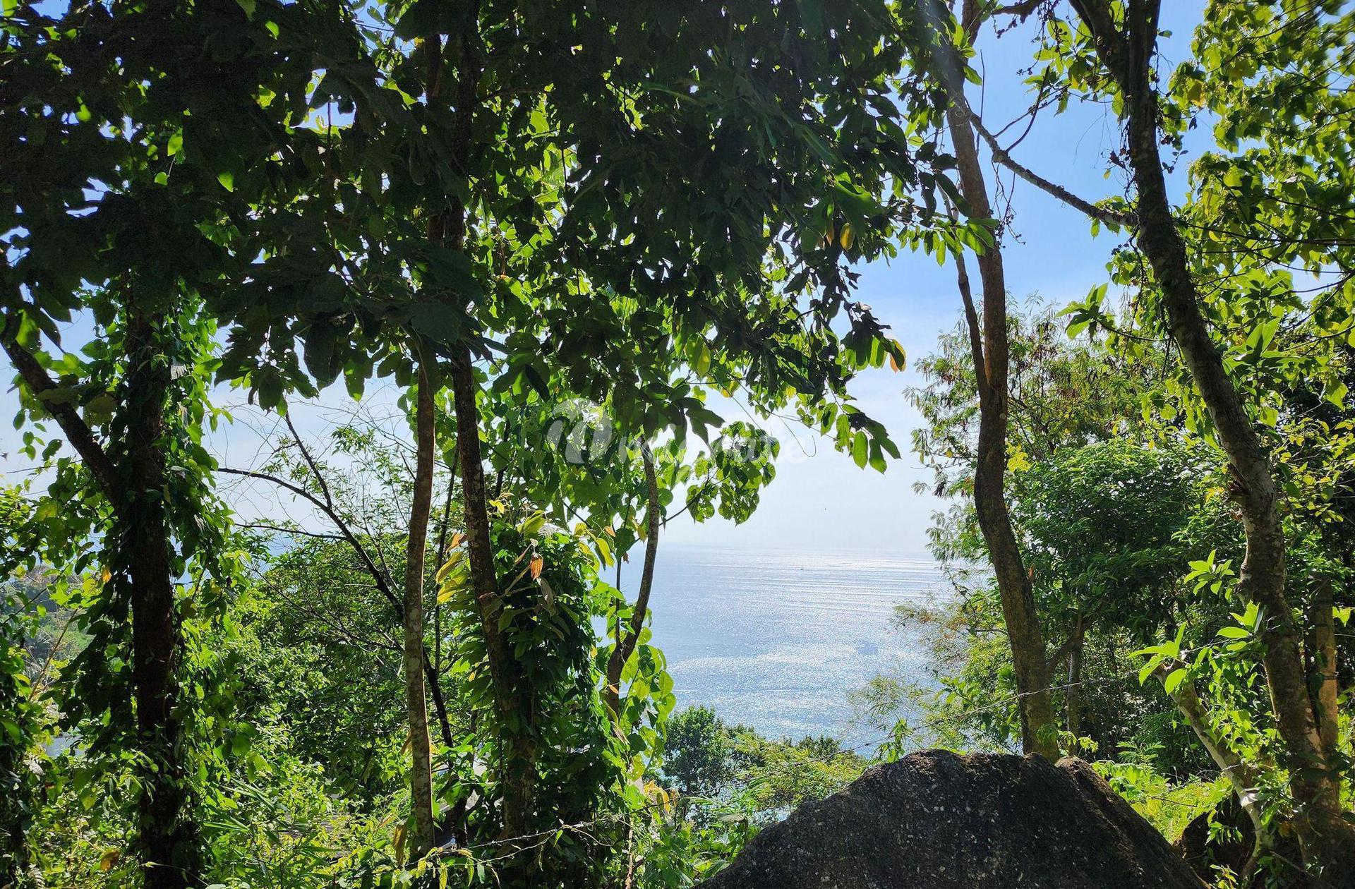 Земельный участок на продажу (1 Rai Exclusive Land for Sale in Kamala)