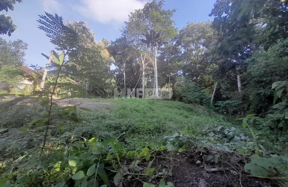 Enchanting 3050sqm riverfront plot in tranquil Cepaka for sale