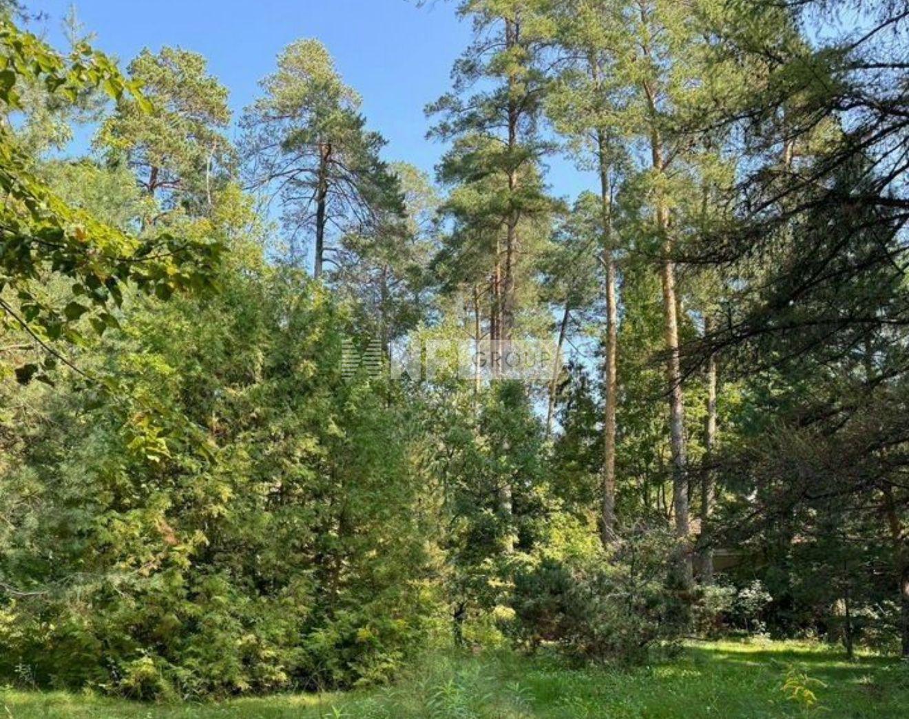 «Поречье ДСК» (Porechye DSK)