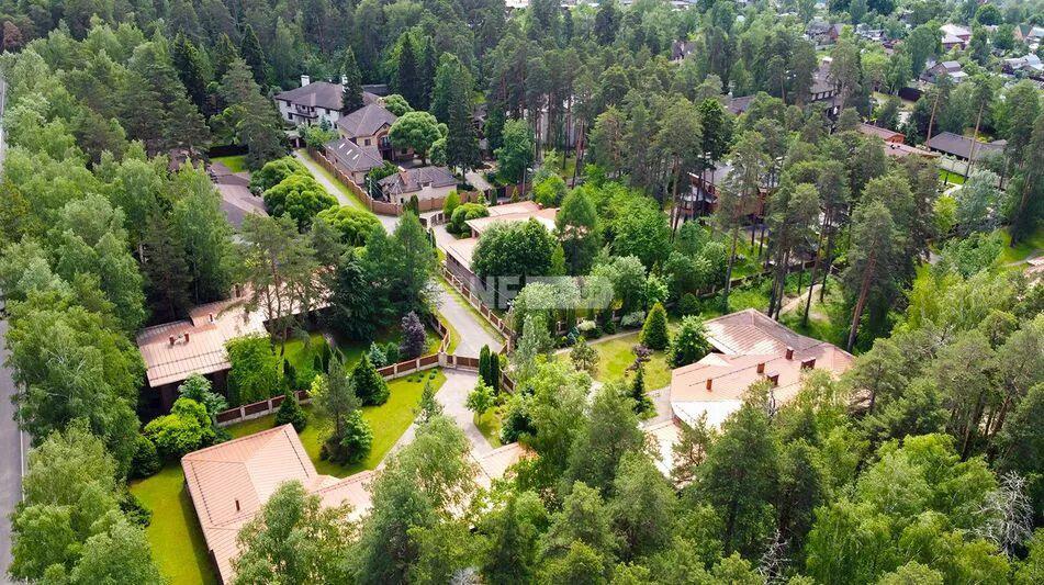 «Сосновый бор (ЯР)» (Sosnovyy bor)