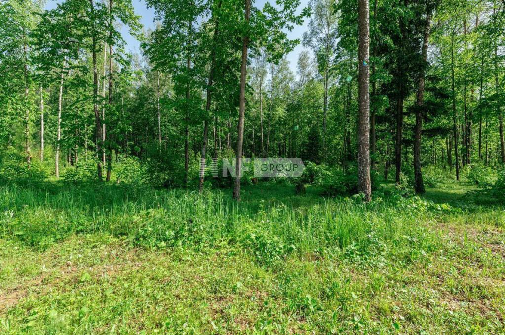 «Усадьба Романцево» (Usadba Romantsevo)