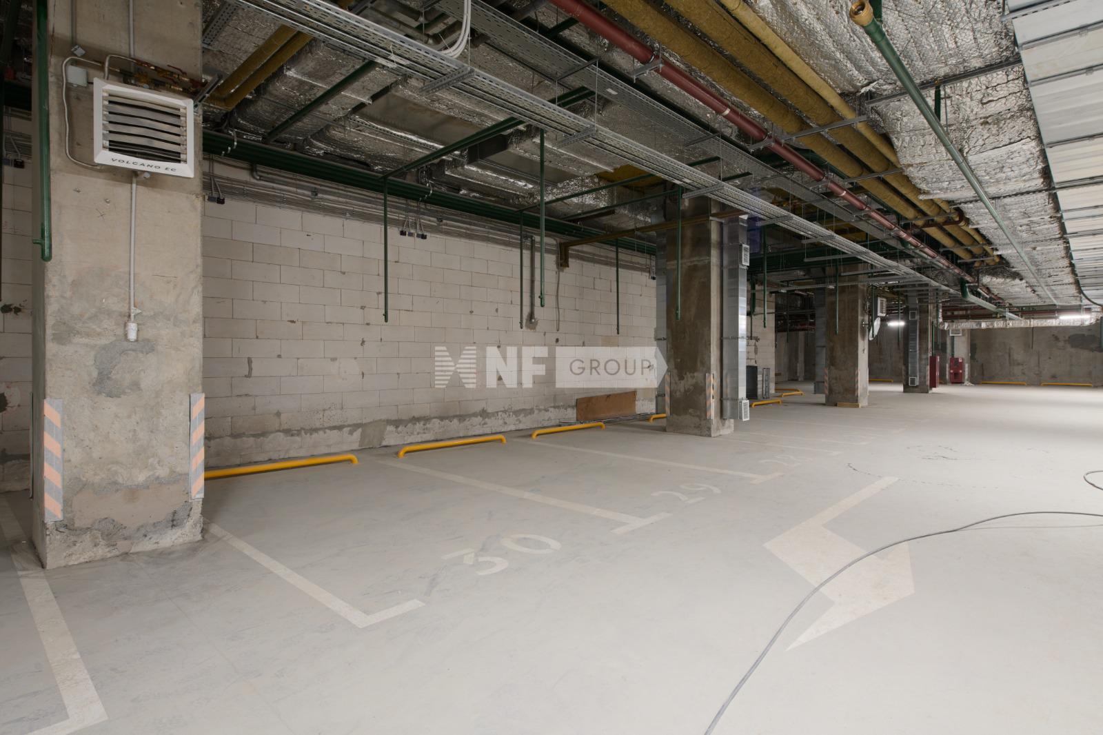 Тесла (Andropova)