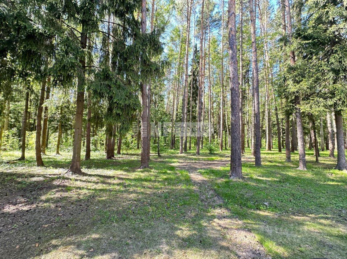 «Николино» (Nikolino)