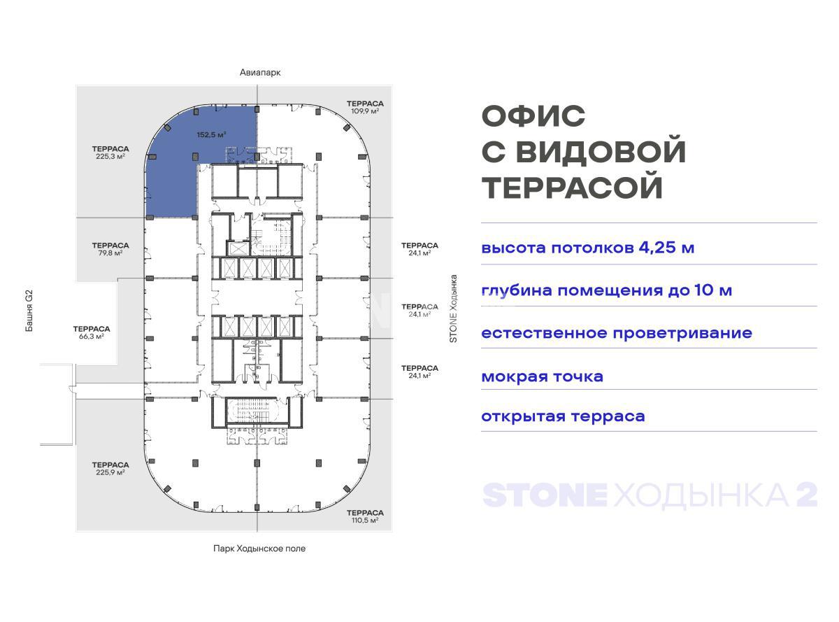 NF Group
