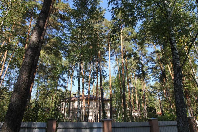 «Сосновый бор» (Sosnovyy bor)