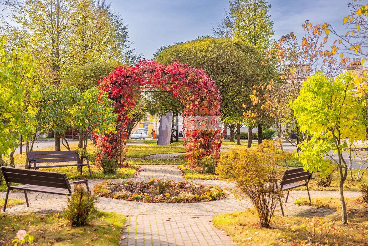 «Новый свет» (Novyy svet)