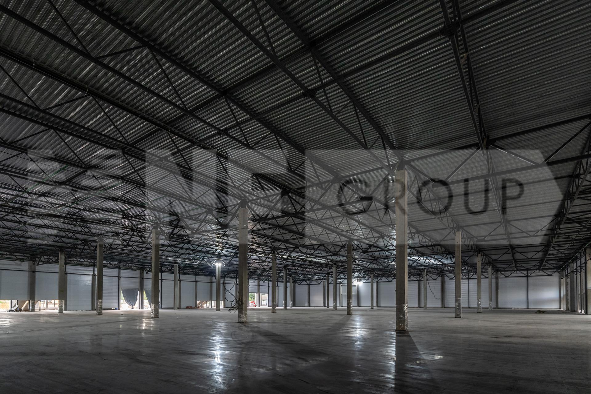 NF Group