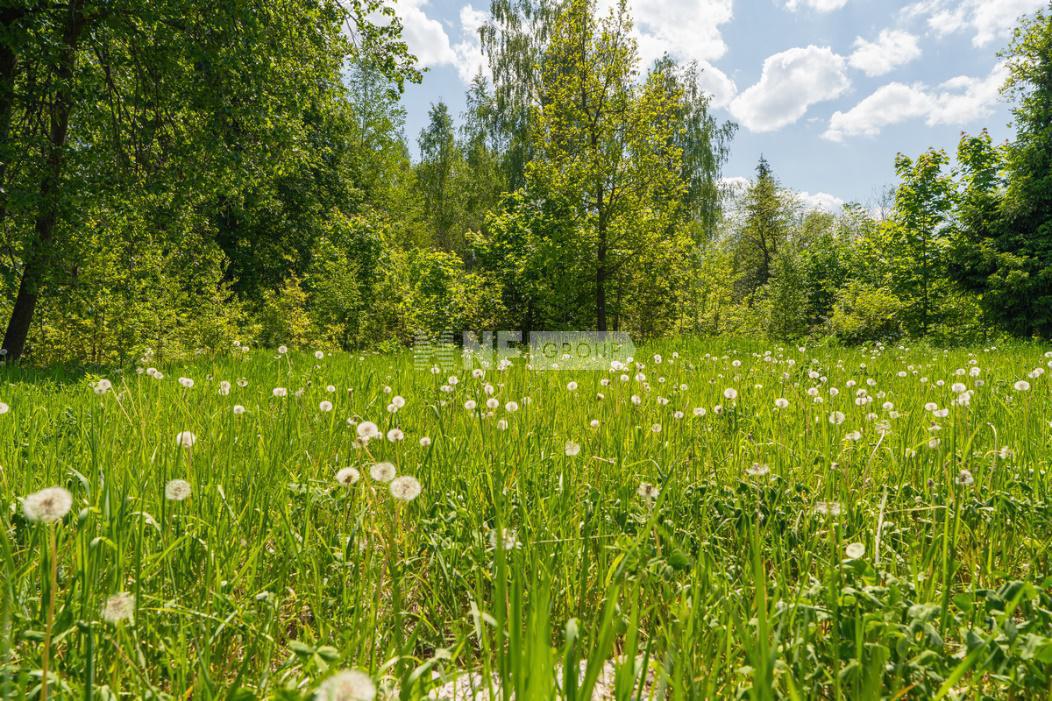«Президент» (Prezident)