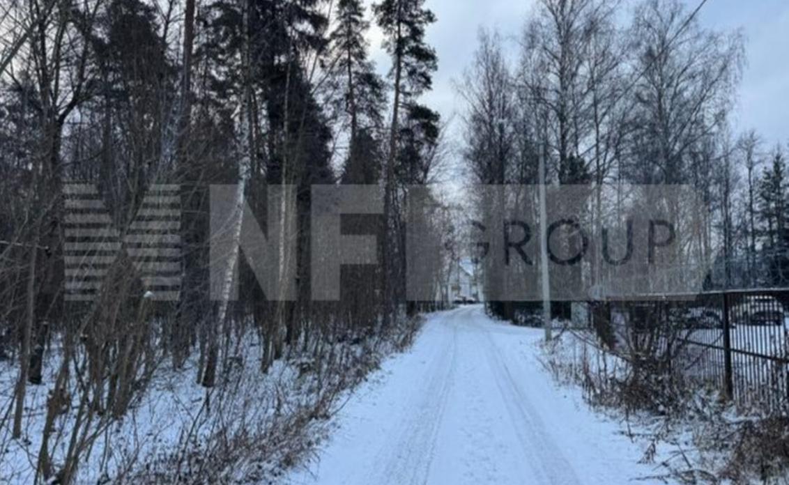 NF Group