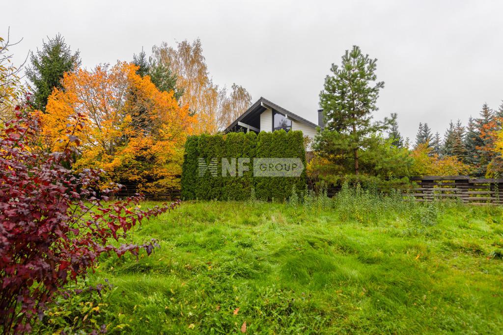 NF Group