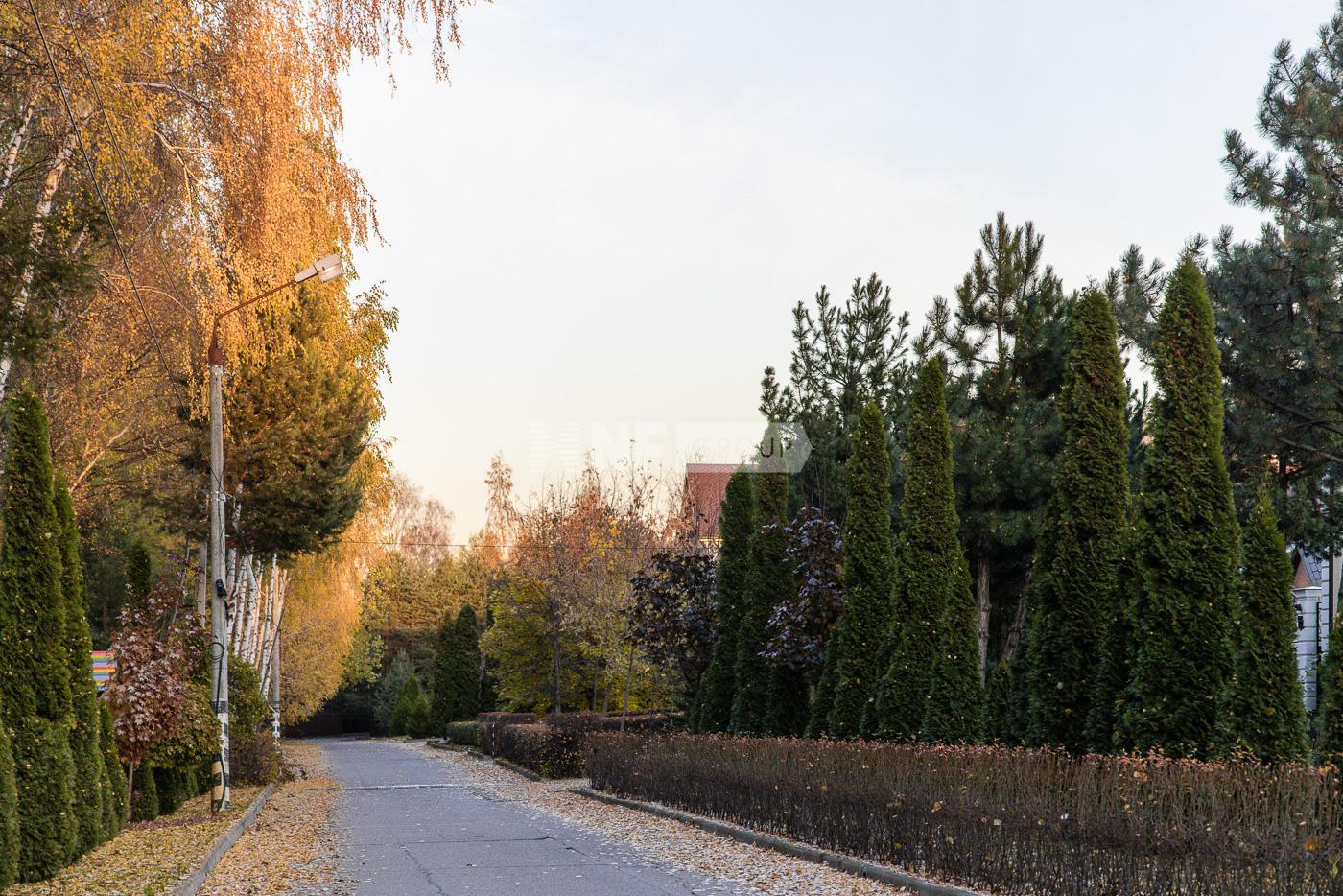 «Лес ДСК (Жуковка)» (Les DSK (Zhukovka))