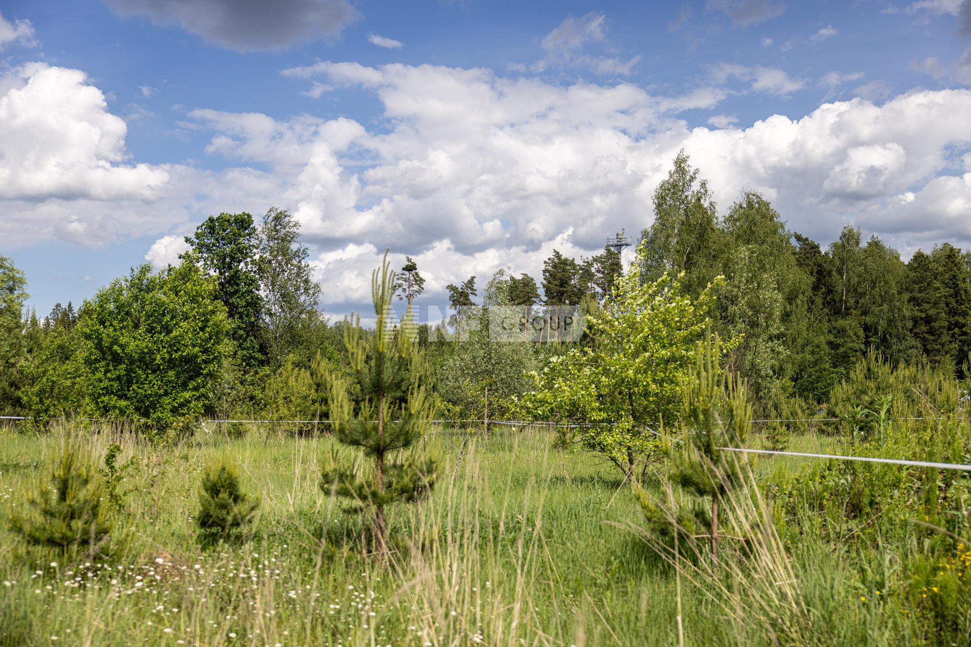 «Мэдисон Парк» (Madison Park)