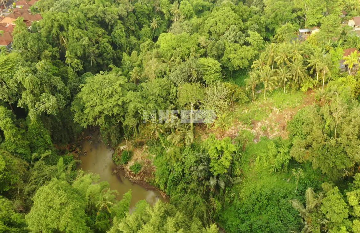 Prime Riverfront Land in Buwit