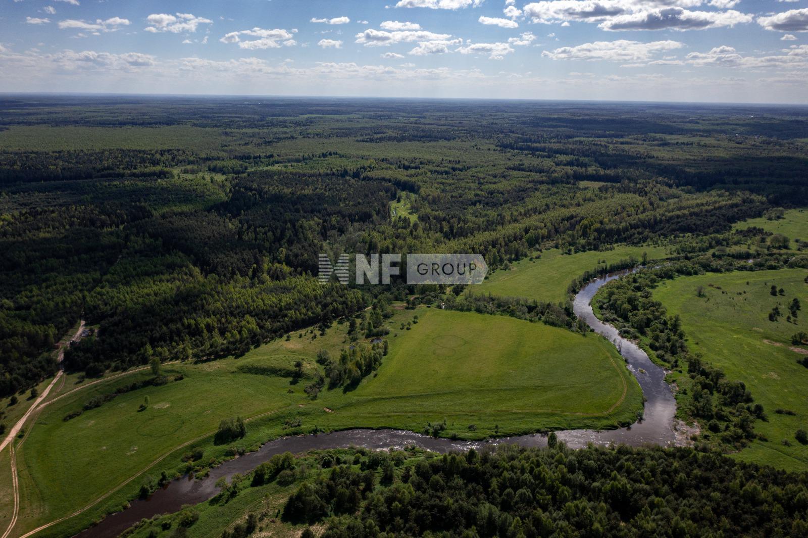 NF Group