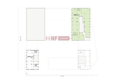 NF Group