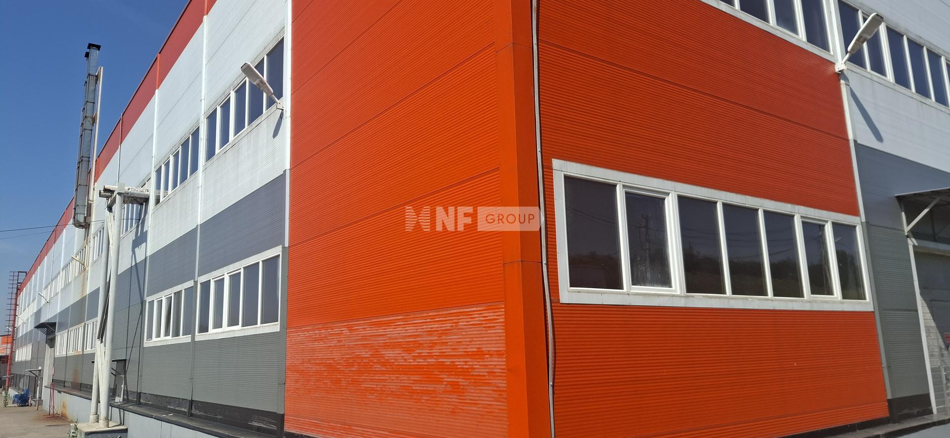 NF Group