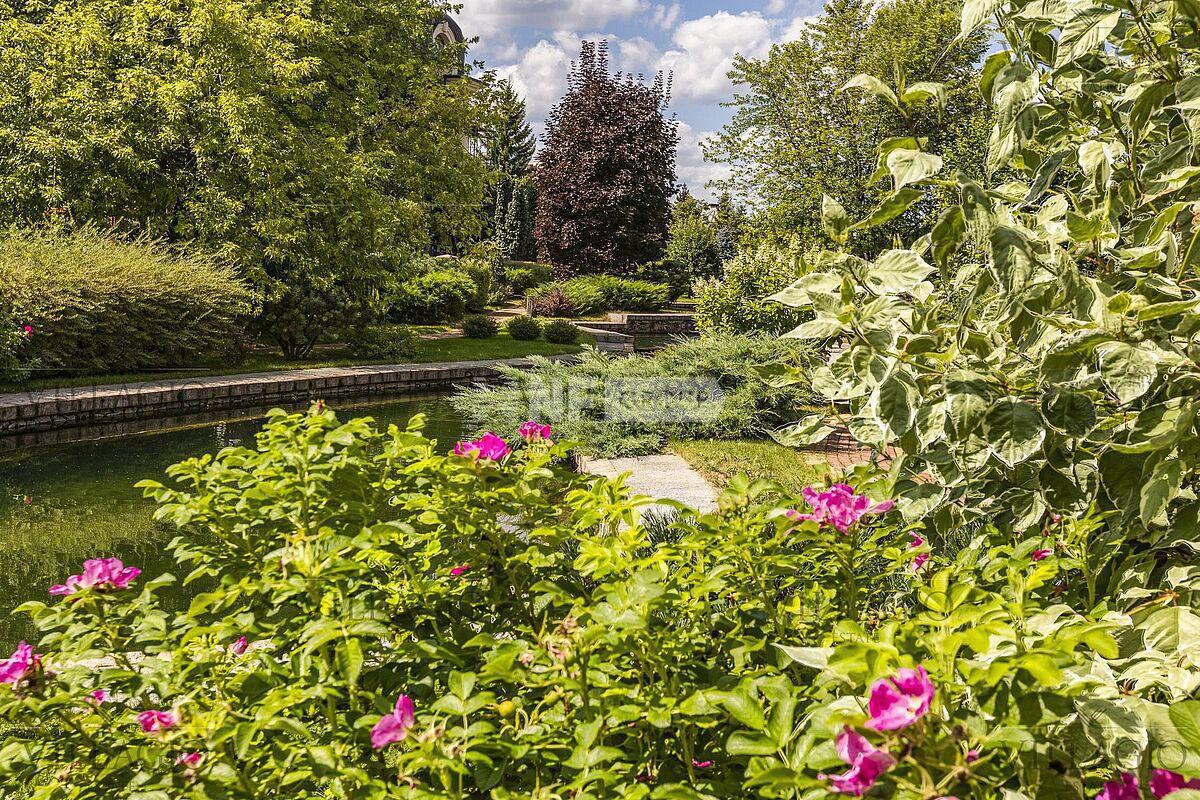«Миллениум Парк» (Millennium Park)