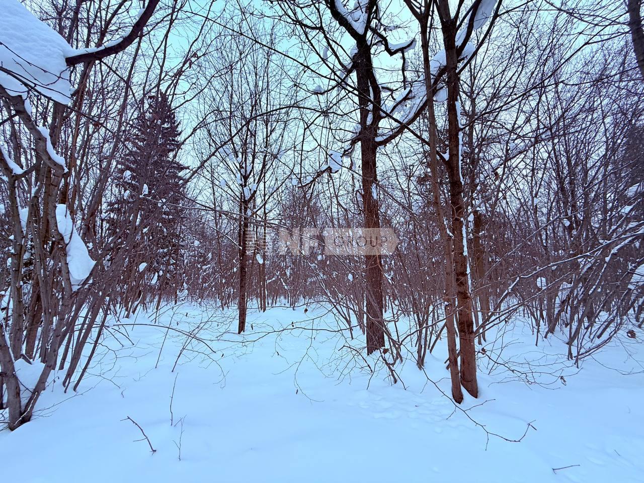 «Тайм 2» (Time 2)