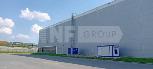 NF Group