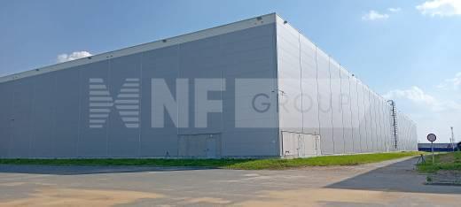 NF Group