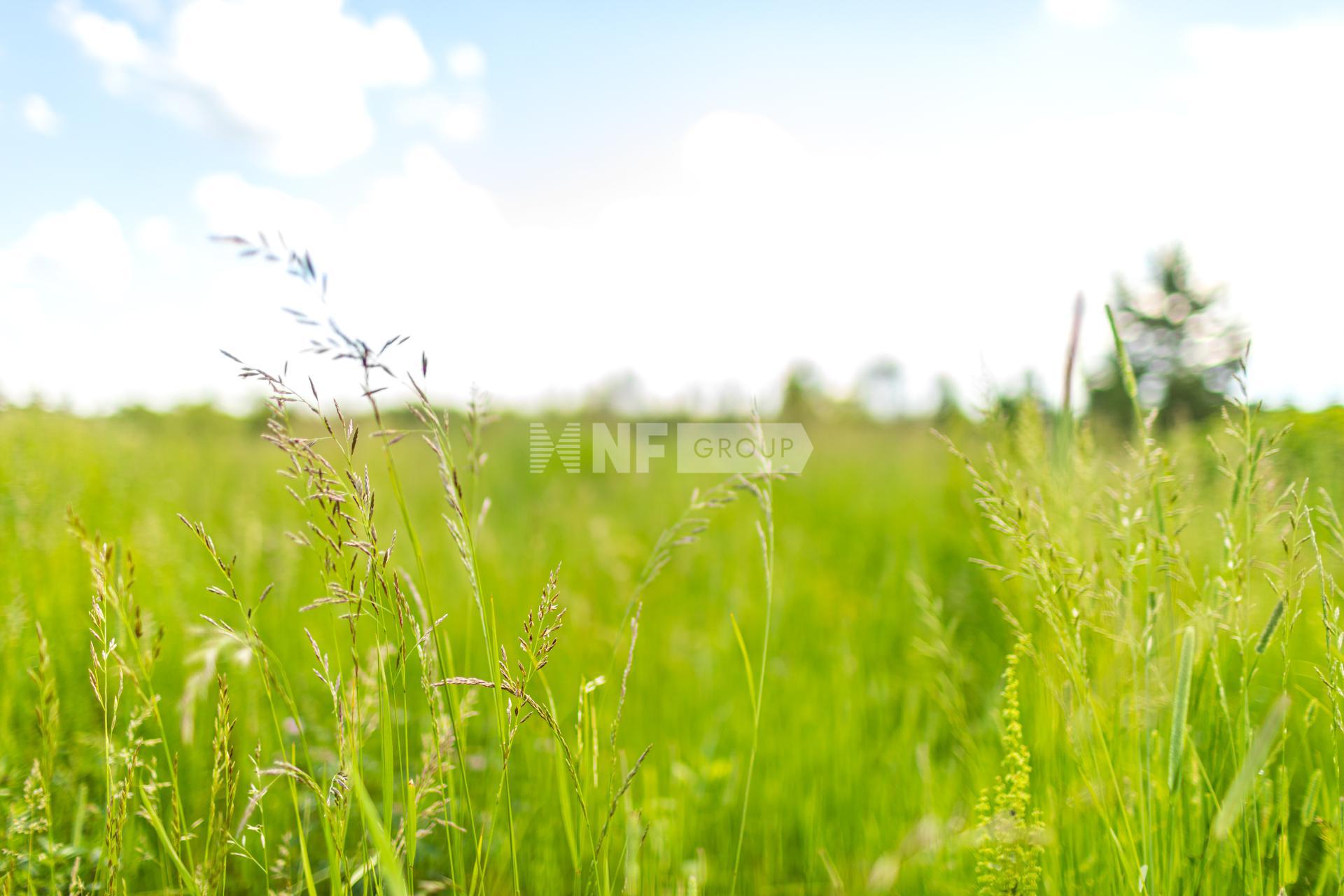 «Агаларов Эстэйт» (Agalarov Estate)