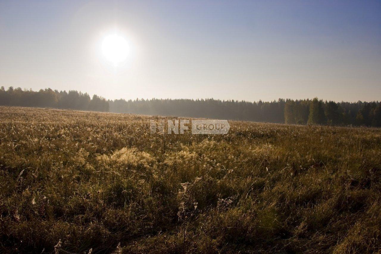 «Жуково» (Жуково)