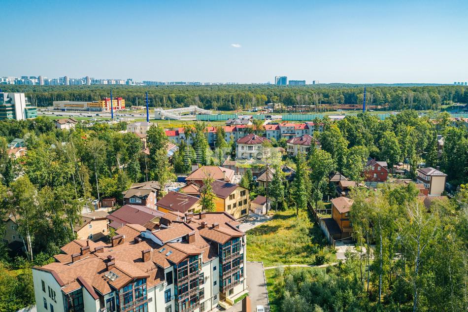 «Лесные поляны» (Lesnye polyany)