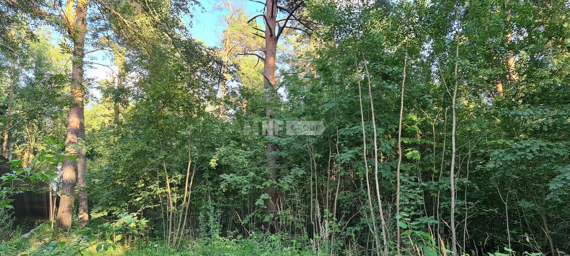 «Раздоры» (Razdory)