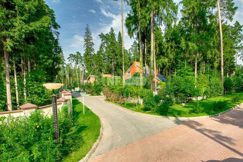 «Сосновый бор» (Sosnovyy bor)