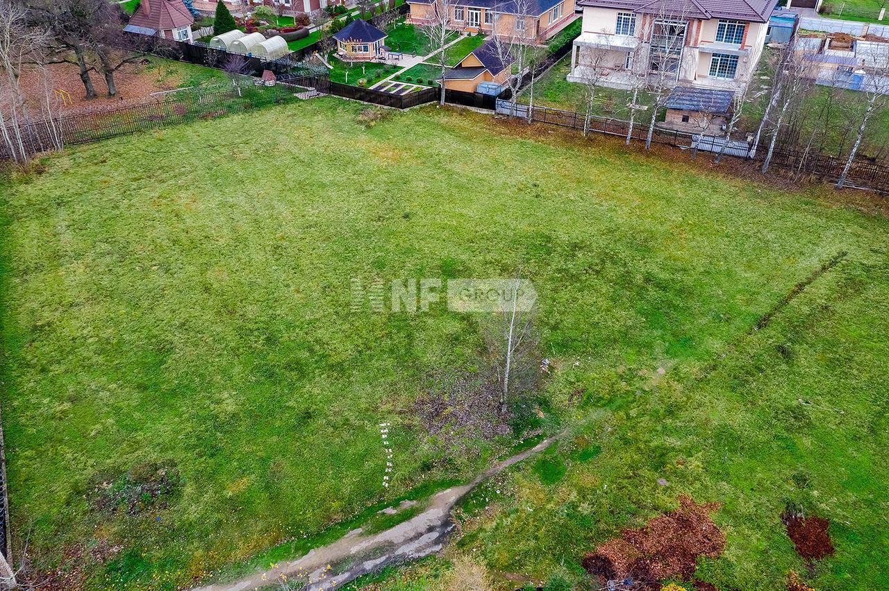 «Крекшино» (Krekshino)