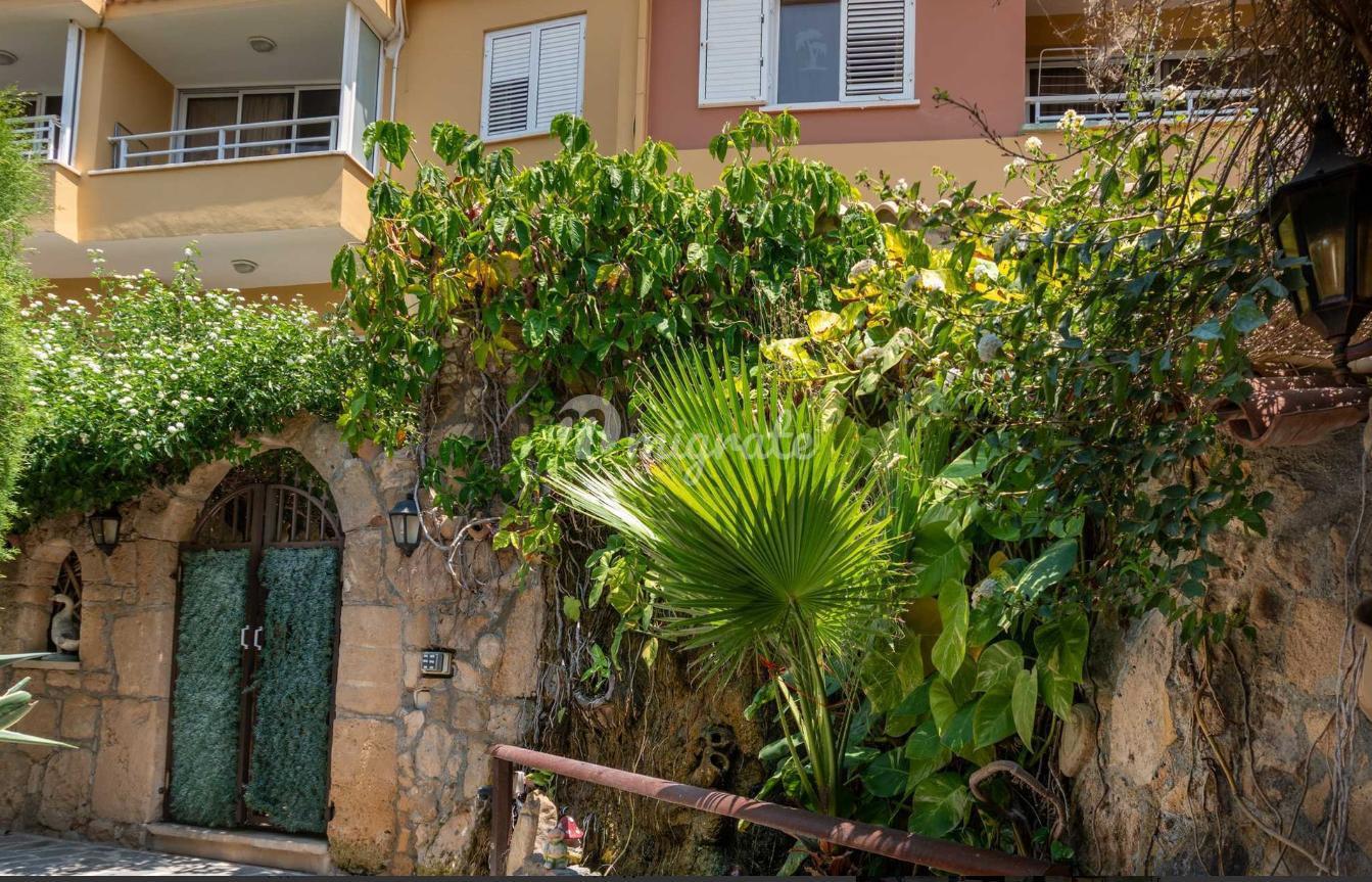 Отель в Като Пафосе, Пафос
 (Hotel in Kato Paphos, Paphos)