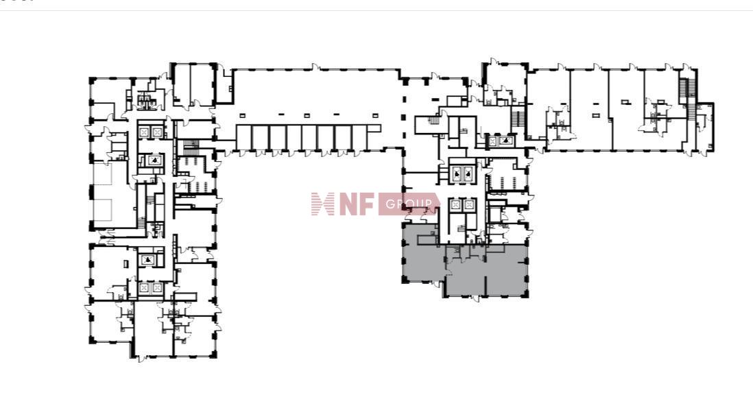 NF Group