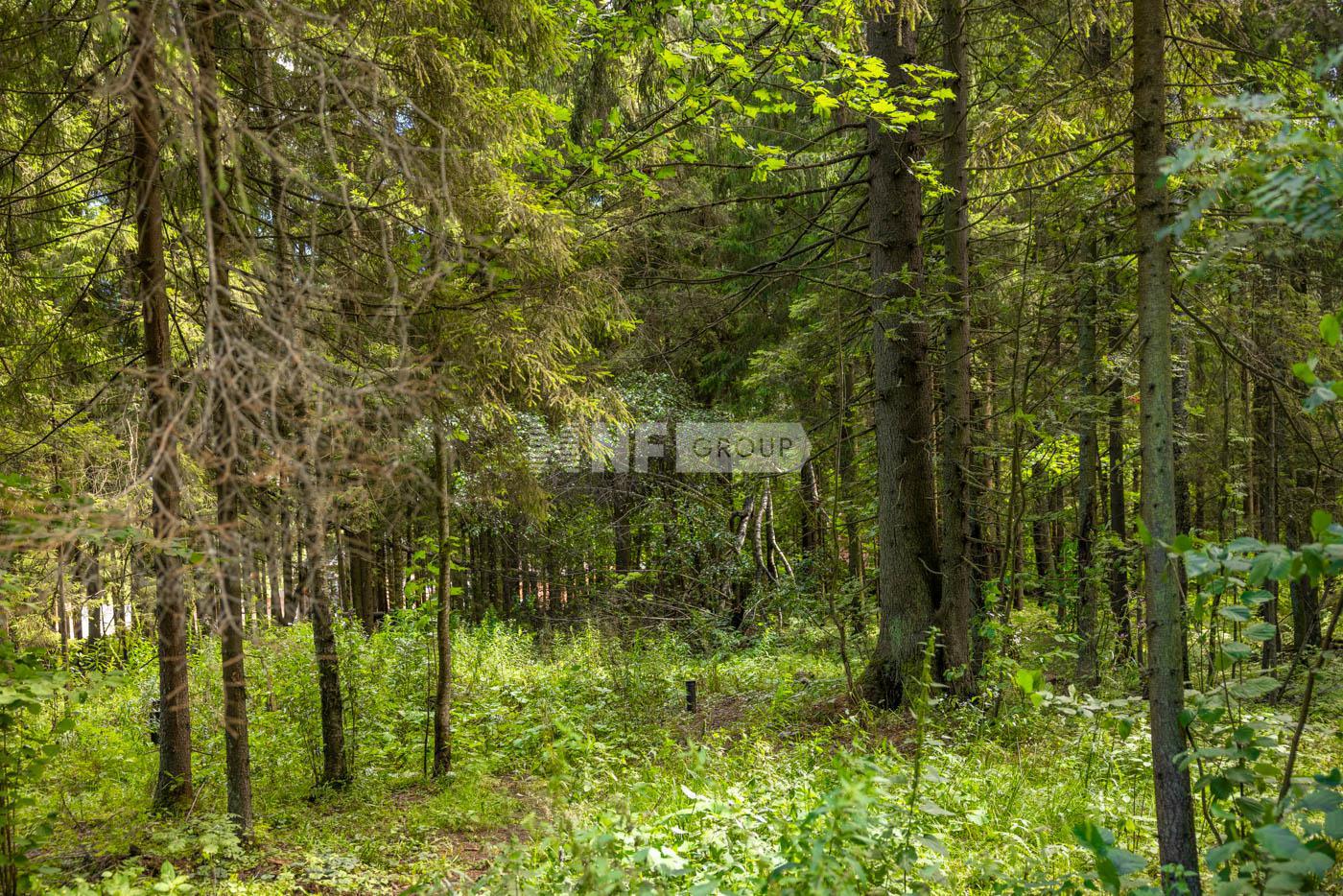 «Успенские Дачи» (Uspenskie Dachi)