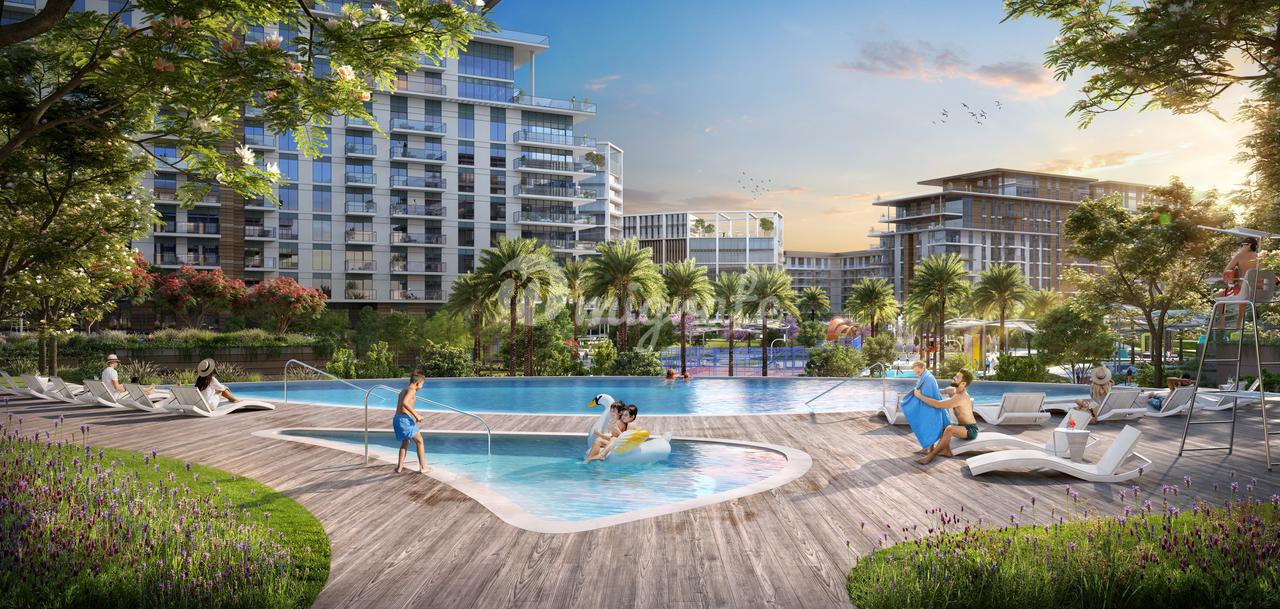 Thyme at Central Park