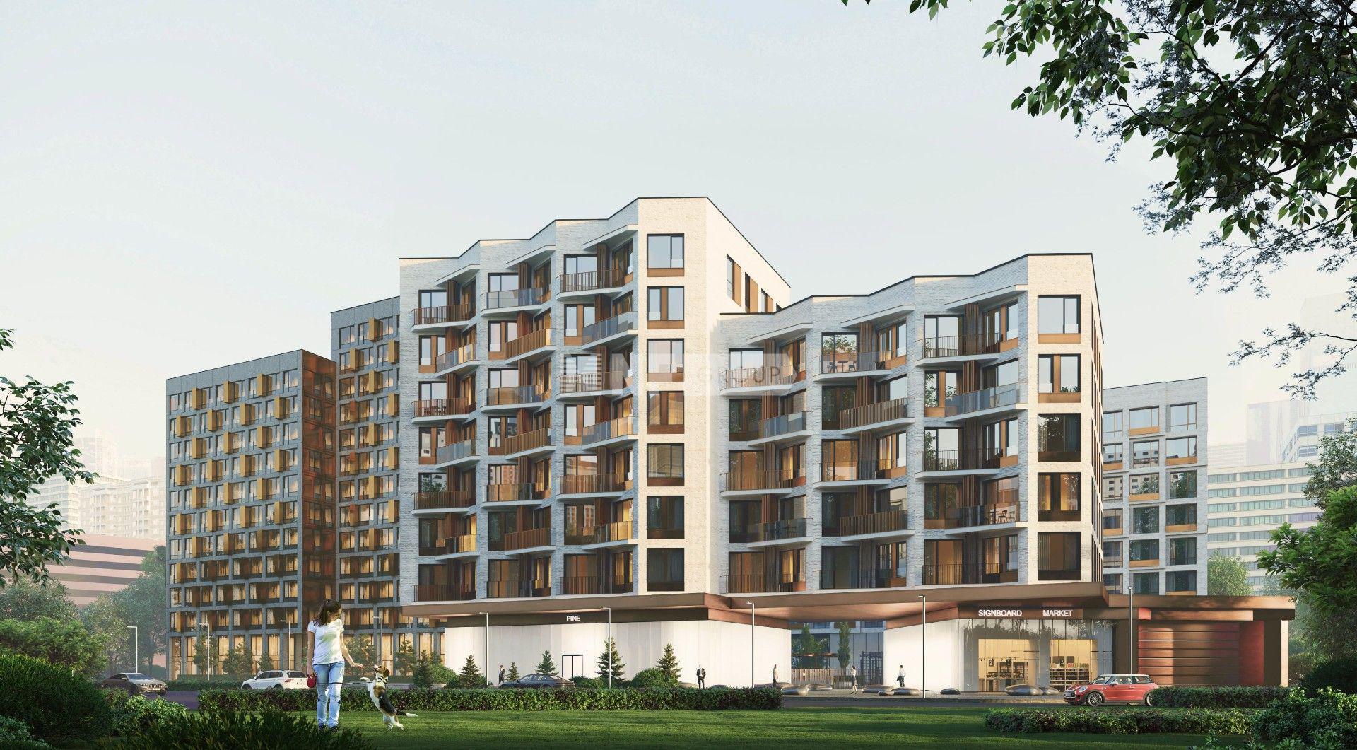 Champine (Шампайн)