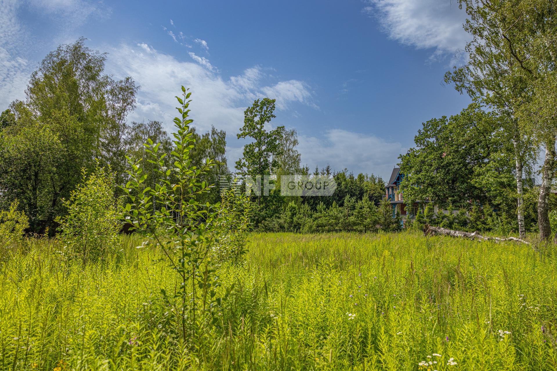 «Николино» (Nikolino)