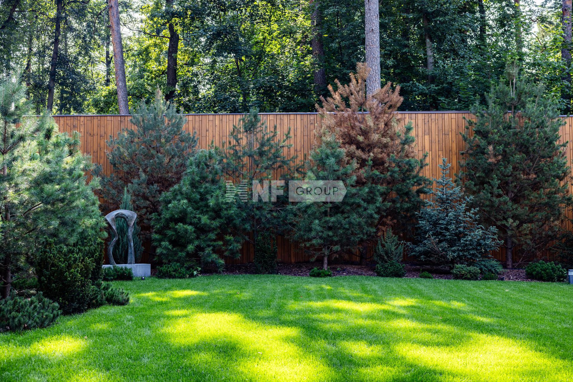 NF Group