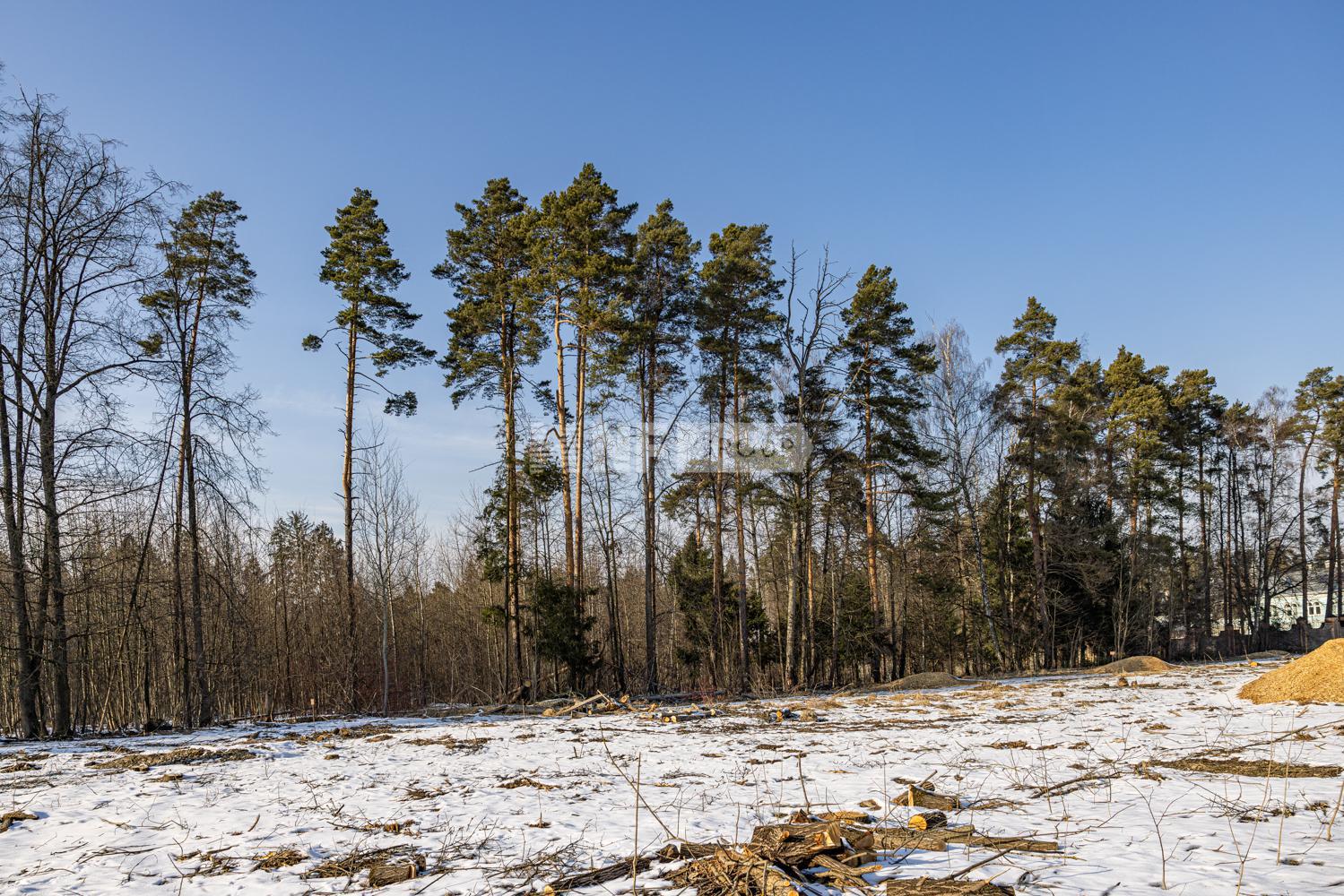 «Грибово» (Gribovo)