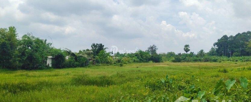 Земельный участок на продажу (12 Rai Land near Layan Beach for Sale)