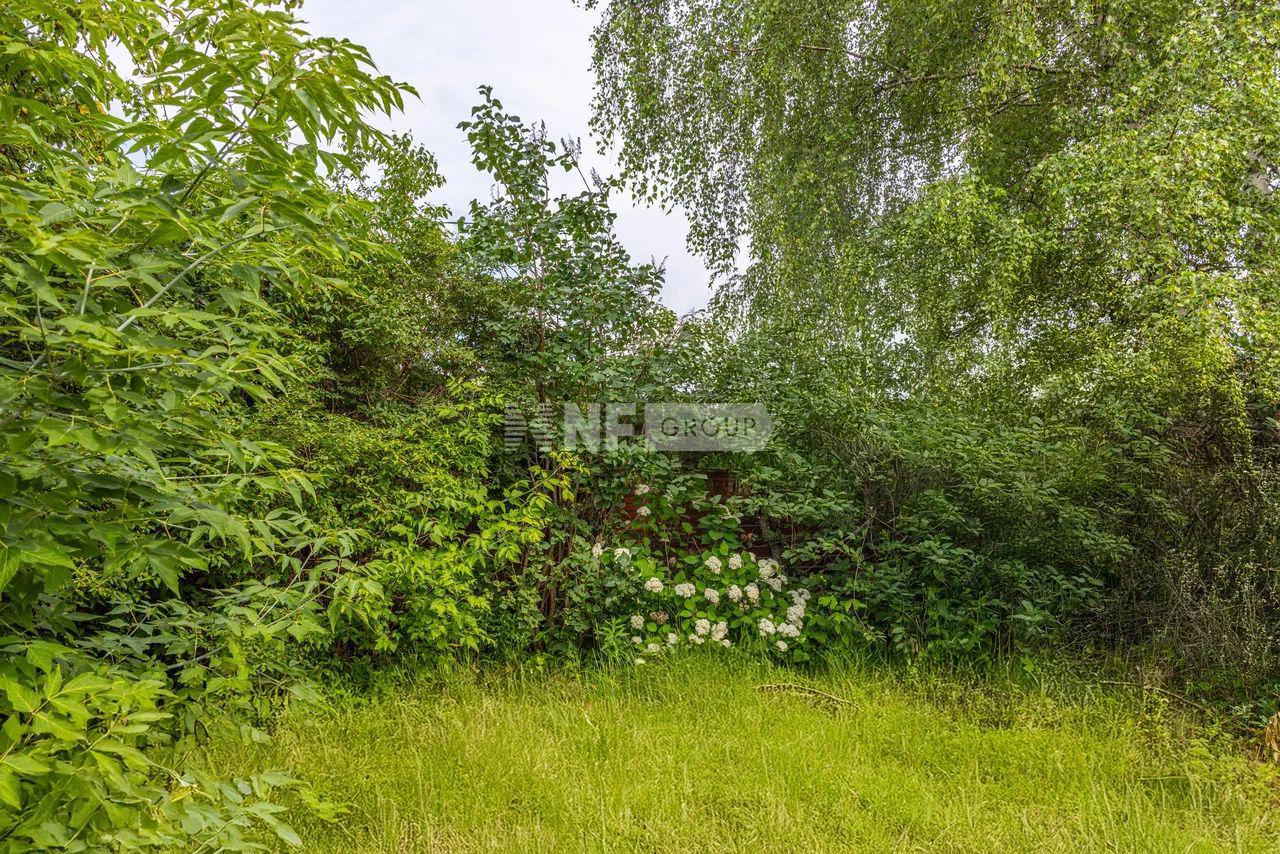 «Немчиново» (Nemchinovo)